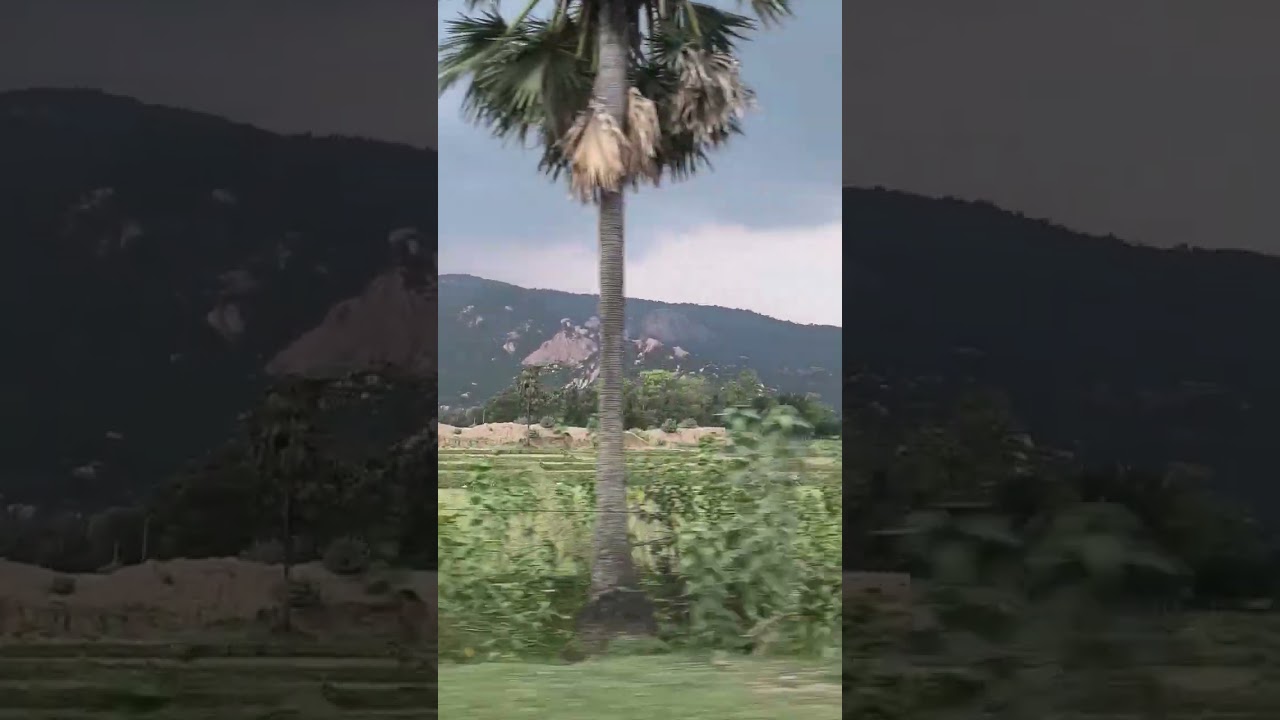 Way To Panchalingeswar Temple odisha #odisha #panchalingeswar #temlpe #bagdabeach #mountains #trend