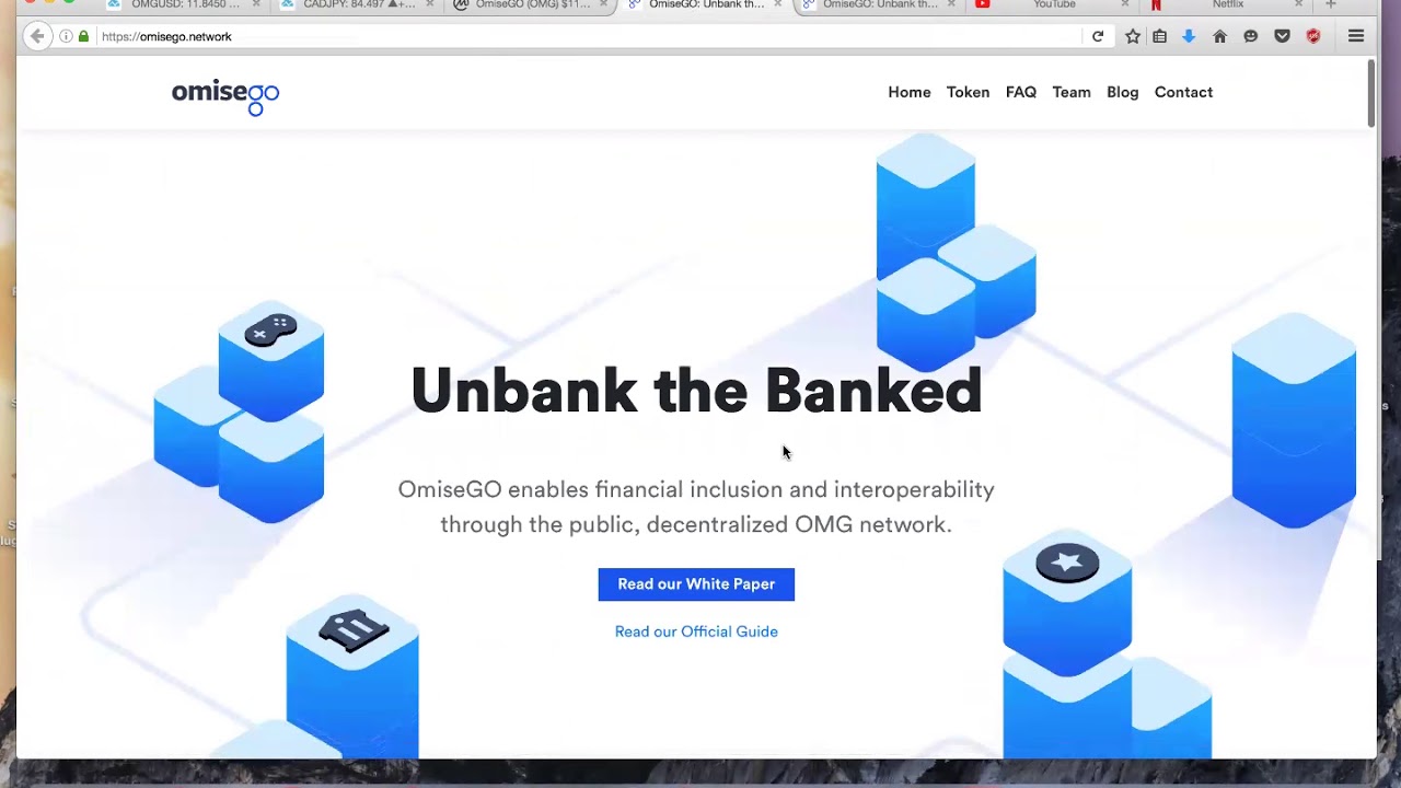 OMISEGO Analysis 2018
