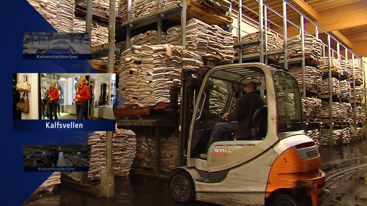 VanDrie Group bedrijfsfilm