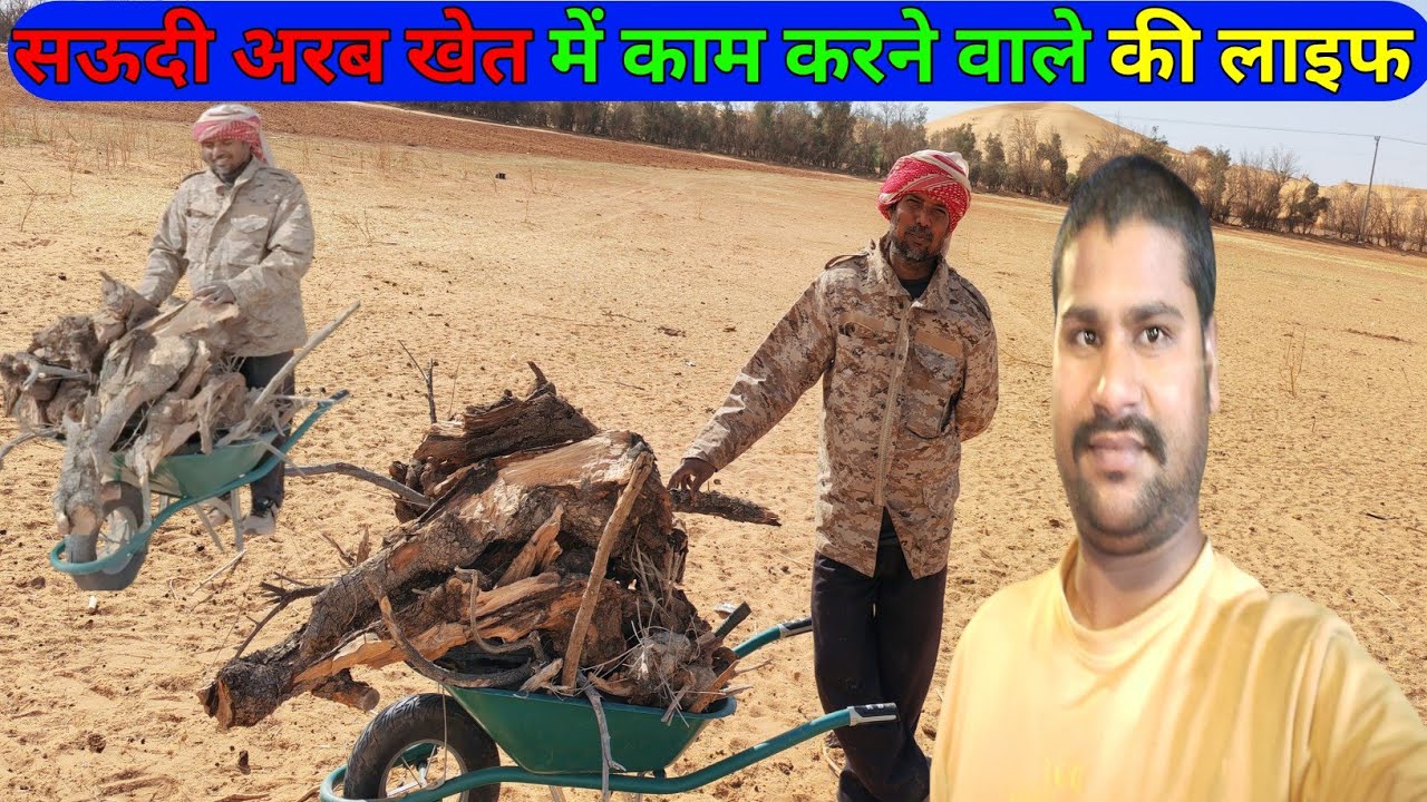 Saudi Arab Khet Mein Kam Karne Wale Ka Life Kaisa Rahata Hai Arvindupvlog ✅ सऊदी अरब खेत 