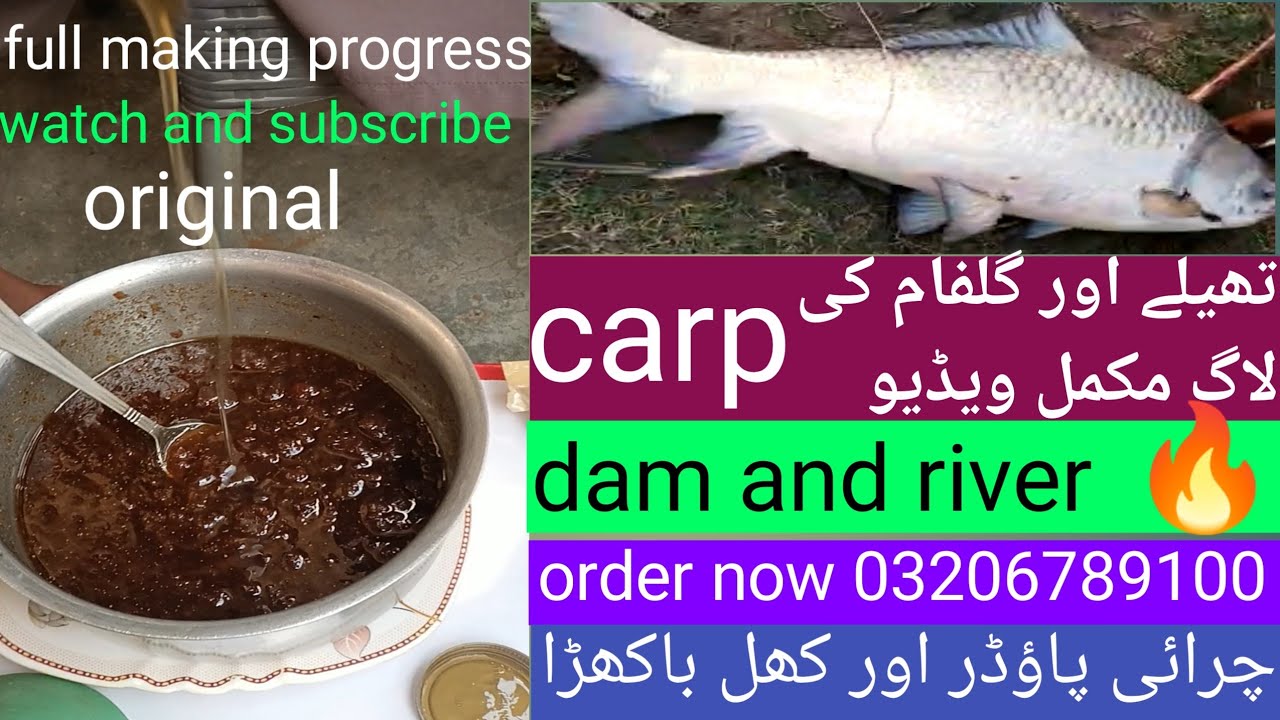 Pakistan river fishing|river chanab fishing|تھیلے اور گلفام کی لاگ مکمل ویڈیو|big carp fishing