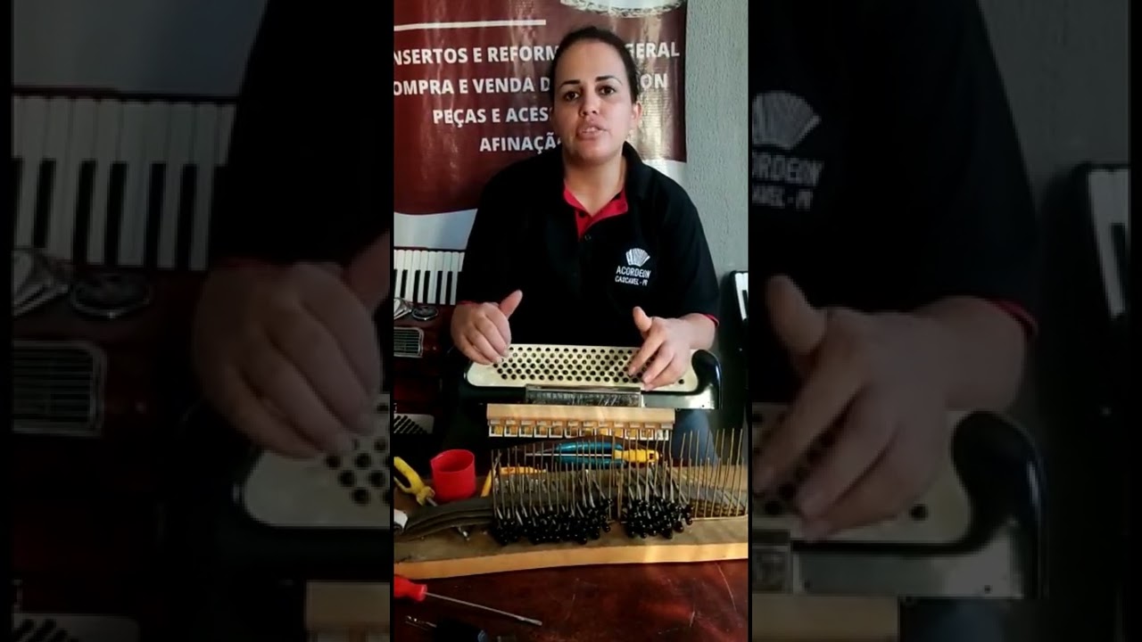 Cuidados com a Baixaria do Acordeon (Manutenção e Montagem)