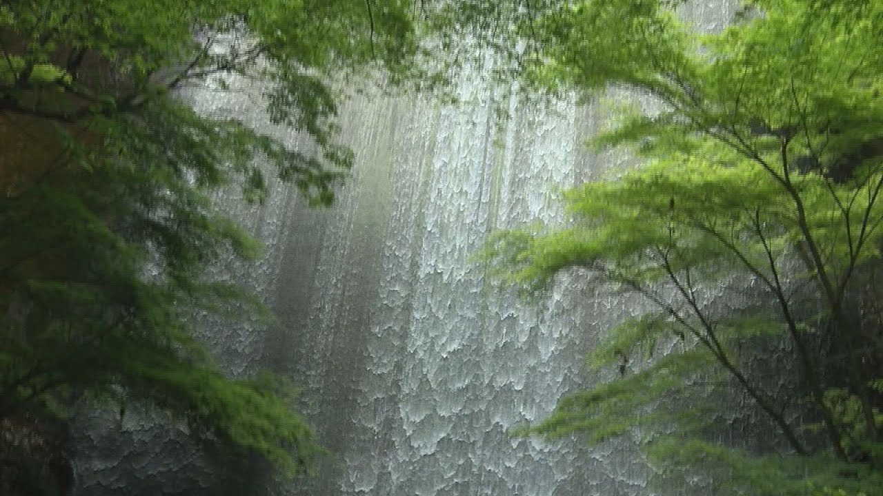 せとまちtv! 令和7年6月1日号「瀬戸の水道の仕組み ～６月１日～７日は水道週間です～」