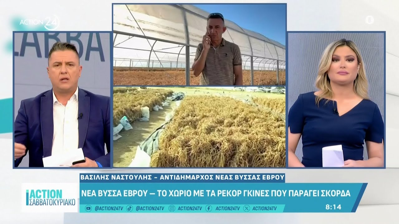 Νέα Βύσσα Έβρου: Το χωριό με το ρεκόρ γκίνες που παράγει σκόδρα  | ACTION 24