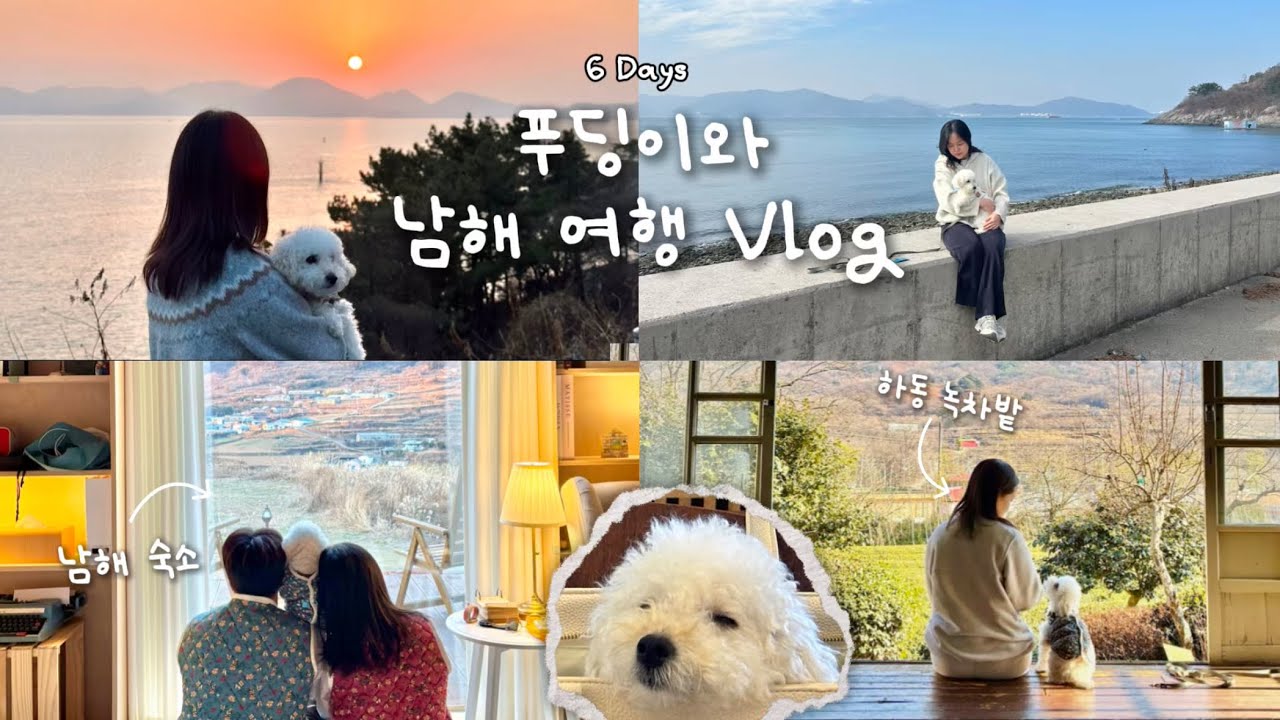 강아지랑 남해 1주일 살기, 현실 브이로그｜애견동반 숙소 · 독일마을 · 상주은모래비치