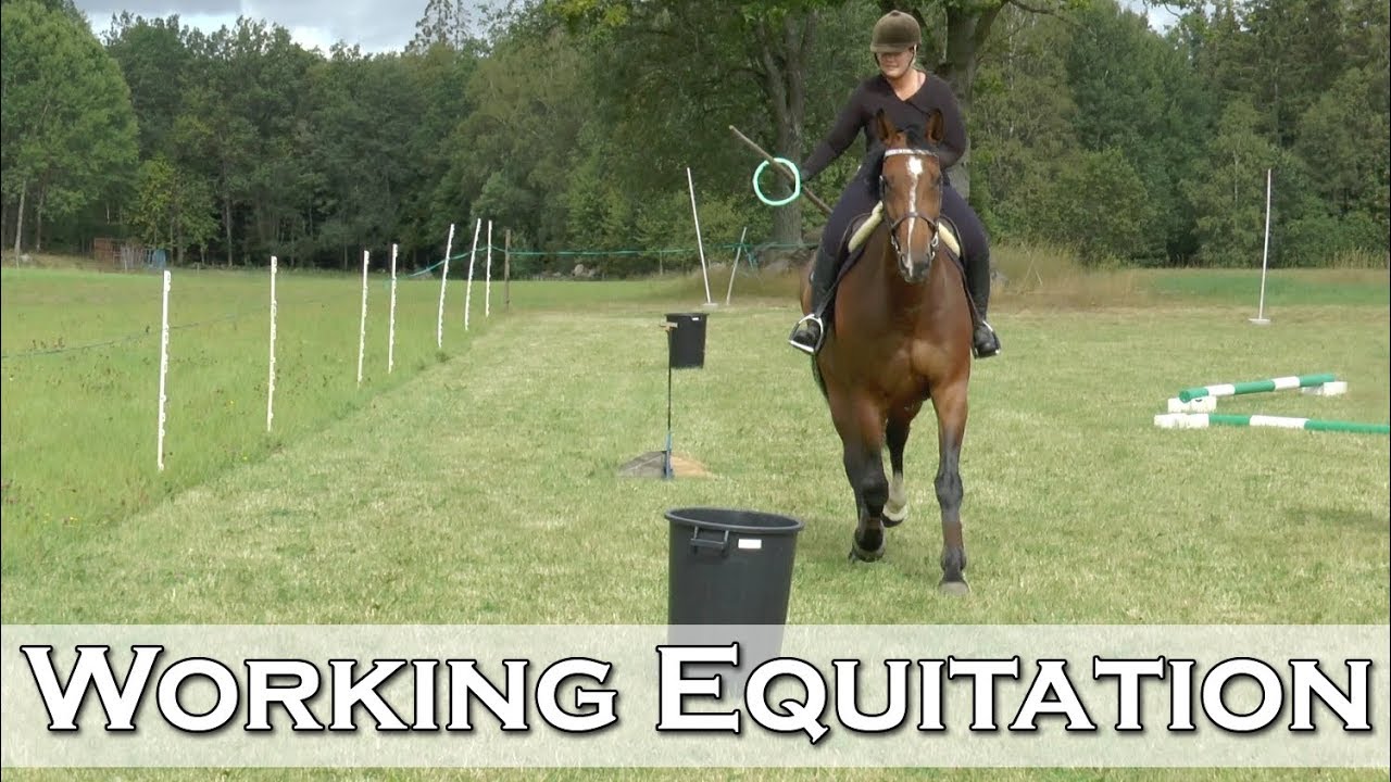 Elfstrands testar - Working Equitation