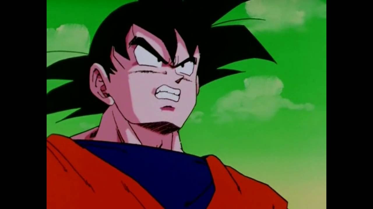 Todos con Goku