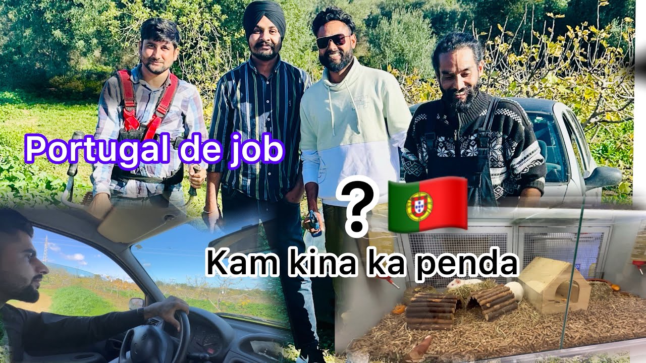 Portugal 🇵🇹 ch kam Karna boh￼t  okha😳/ajj da vlog job te//@deolfarm7755 #farming