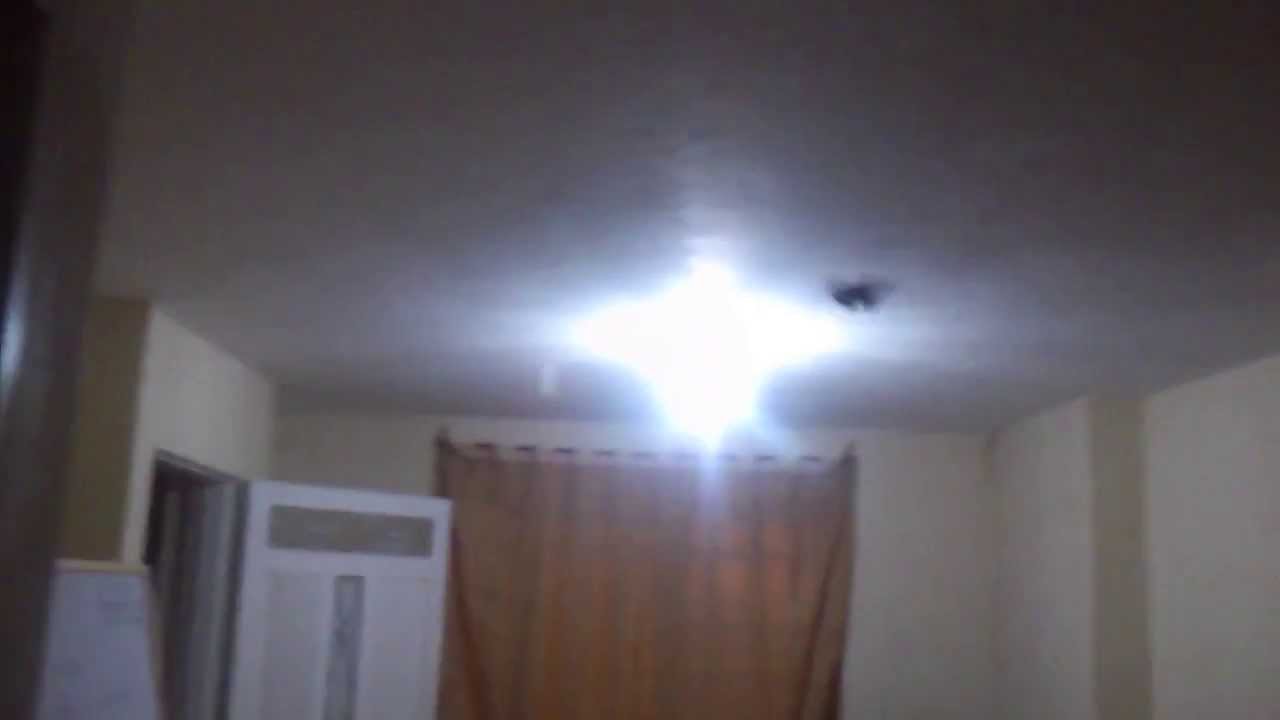 Cómo sacar mariposas mutantes de tu casa