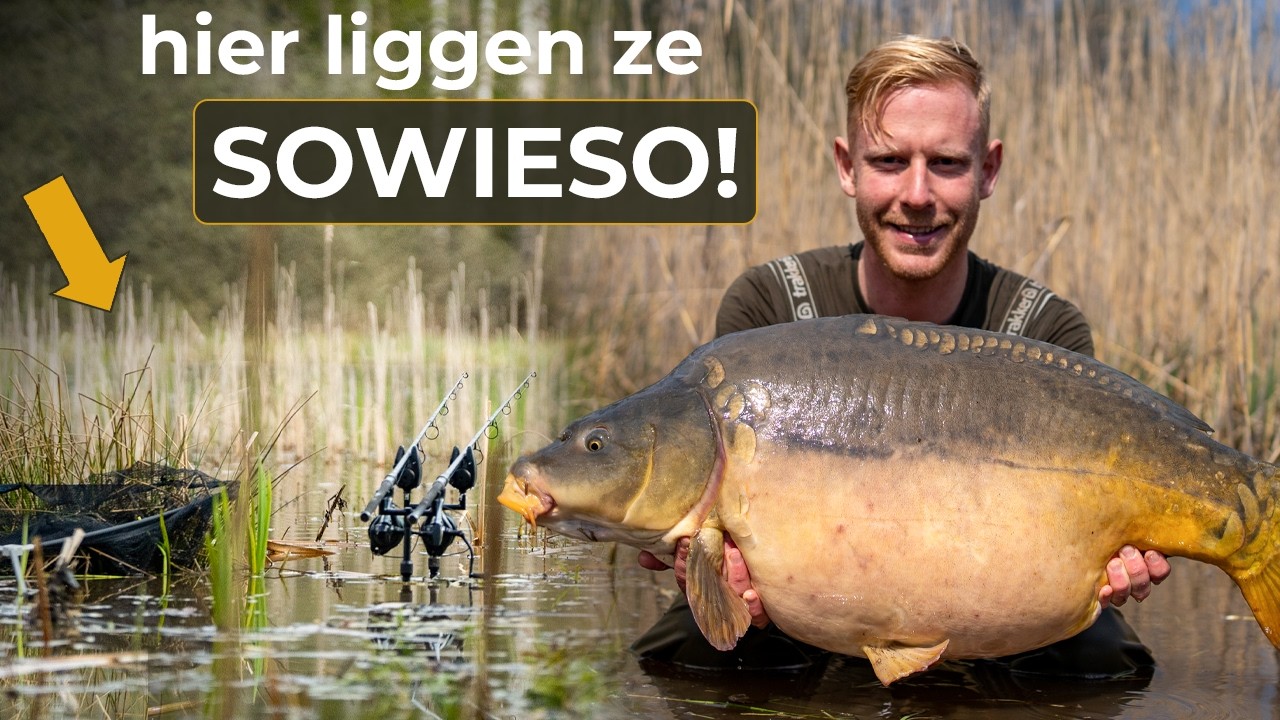M&eacute;&eacute;r aanbeten in het voorjaar? Dit zijn mijn BESTE tips!