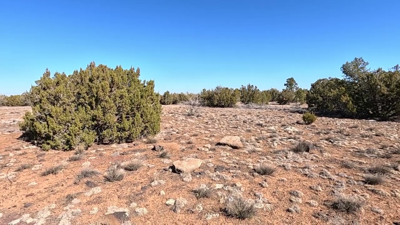 AZ-Apache-107-06-760  -- 1.18 Acres in Show Low Pines, Arizona FOR SALE