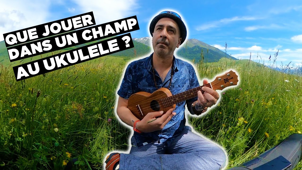 UKULELE DEBUTANT : QUE JOUER DANS UN CHAMP AU UKULELE ? (Avec juste deux accords)
