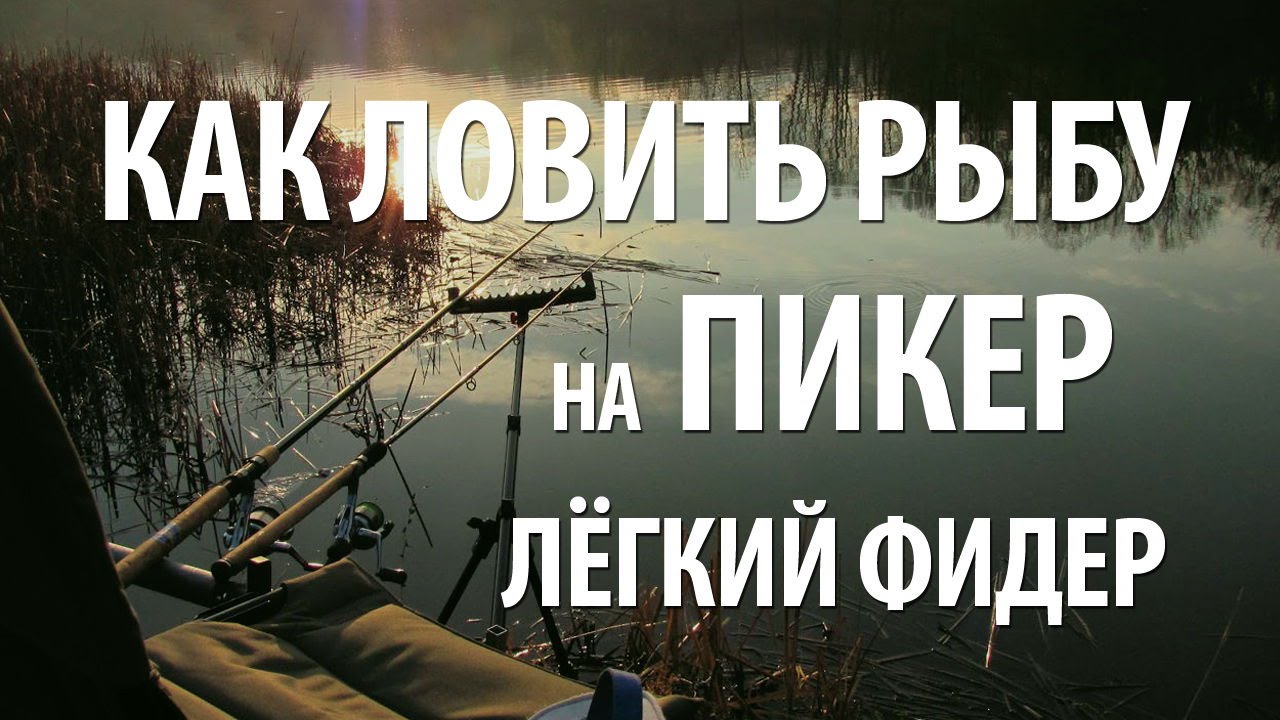 ПИКЕРНАЯ ЛОВЛЯ для НАЧИНАЮЩИХ. ЛОВЛЯ на ПИКЕР (лёгкий фидер) в ГОРОДЕ