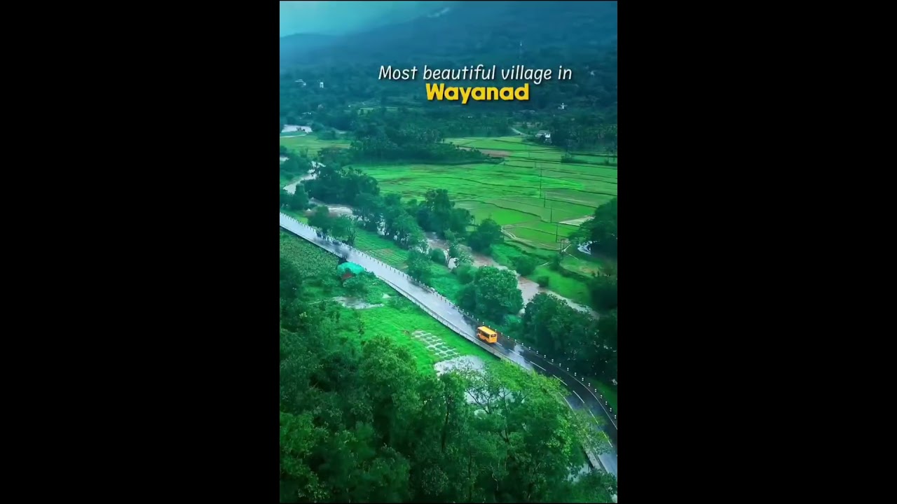 Monsoon day in Kerala #monsoon #travel #naturelovers #nature