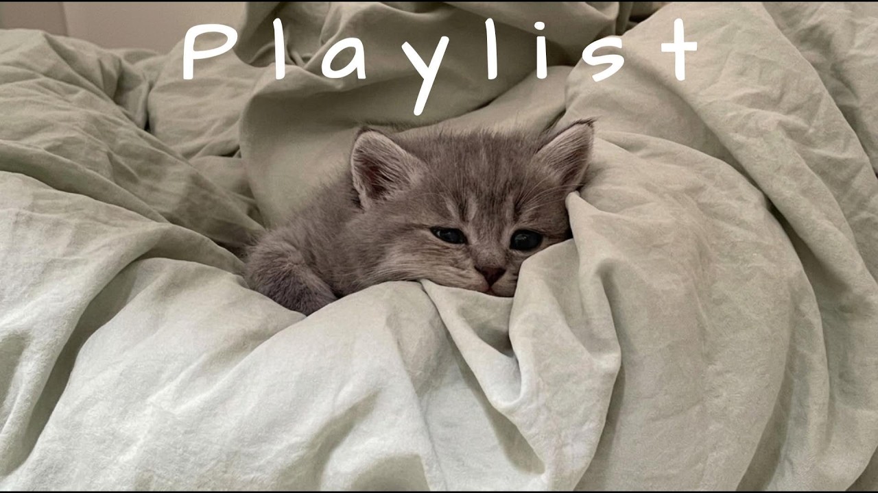 𝐏𝐥𝐚𝐲𝐥𝐢𝐬𝐭 제목 물어보려다 참았던 인스타 릴 노래들 🤍🎧 | chill r&b · trendy vibes
