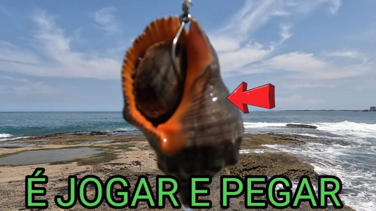 PENSA EM UMA ISCA QUE PEGA QUALQUER TIPO DE PEIXE GUARAPARI ES PESCARIA