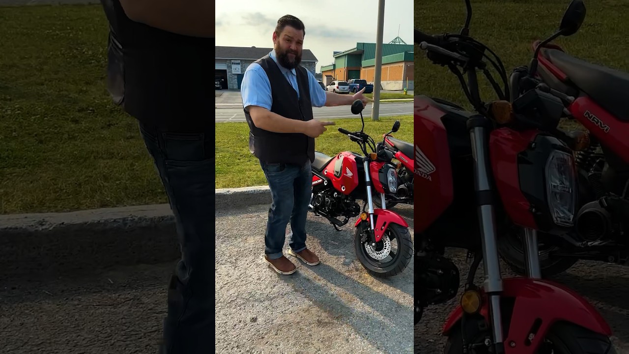 Is the #navi smaller than the #grom ? @Honda #pinkorange #honda #mini #moto #bike #motorcycle #short
