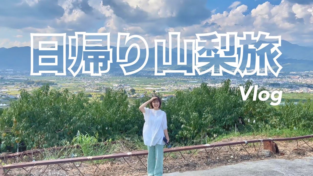 【激安】450円で買えるシャインマスカットが美味しすぎるから教えちゃう🍇