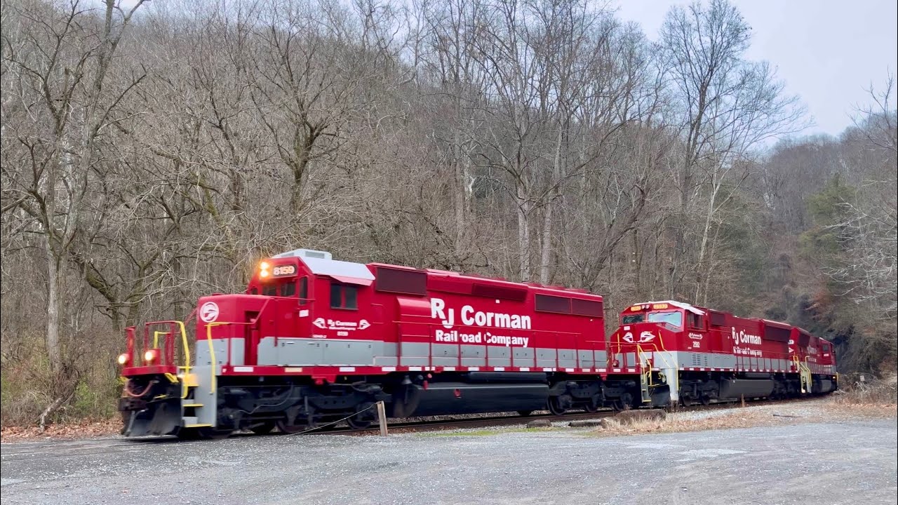 RJC 8159, 2592 & 2597!! | Old Tunnel & Coal Trains!!