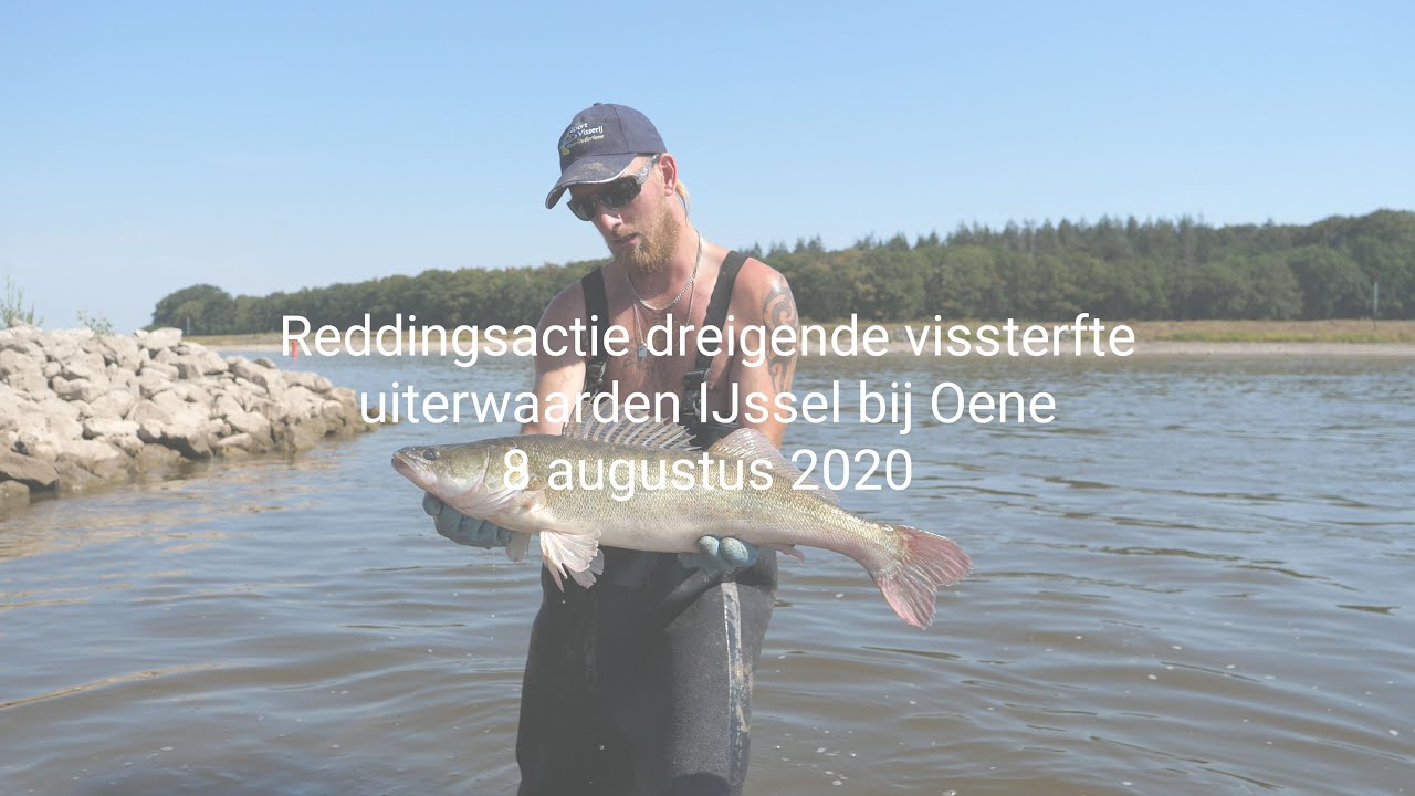Reddingsactie vissterfte uiterwaarden Oene