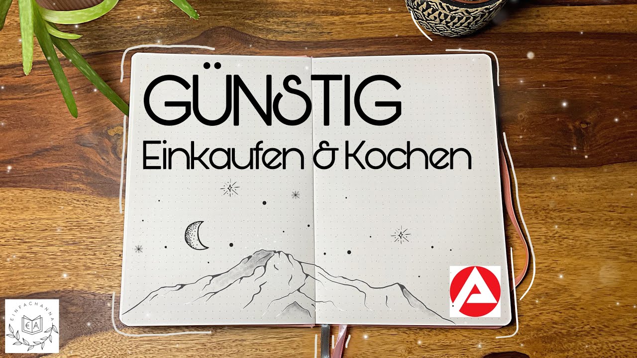 Wocheneinkauf 2 Personen❄️|Hartz IV Einkauf✨|Gerichte Planen|EinfachAnna