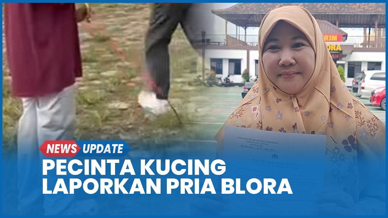 CLOW Lapor Polisi Soal Penendangan Kucing di Blora Kami Tak Nafsu Memenjarakan Orang