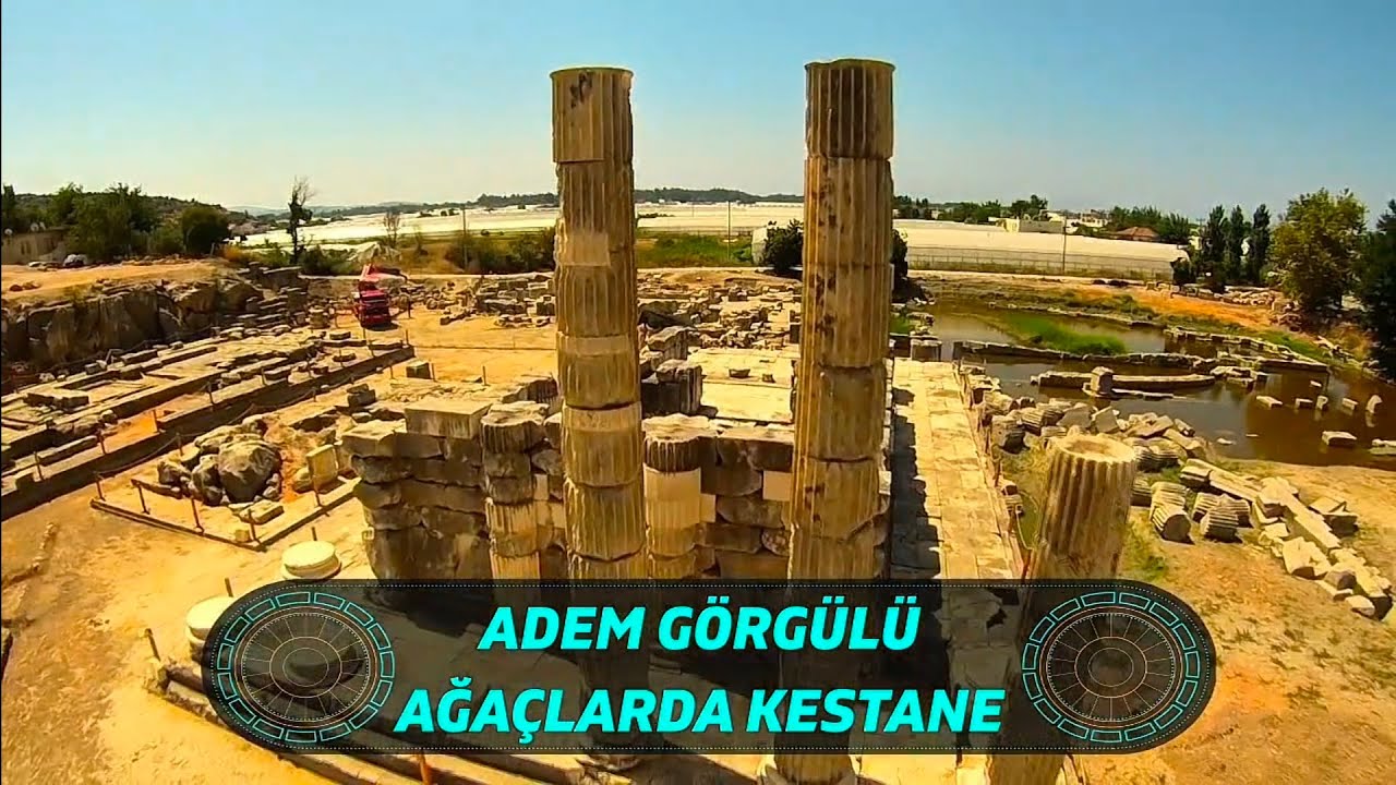 Adem Görgülü - Ağaçlarda Kestane 