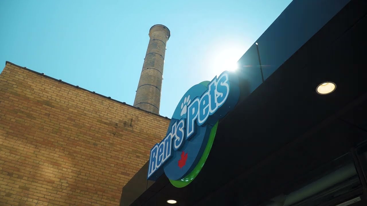 Ren's Pets Liberty Village | First Urban Concept Store | BMF Retail Renovation
