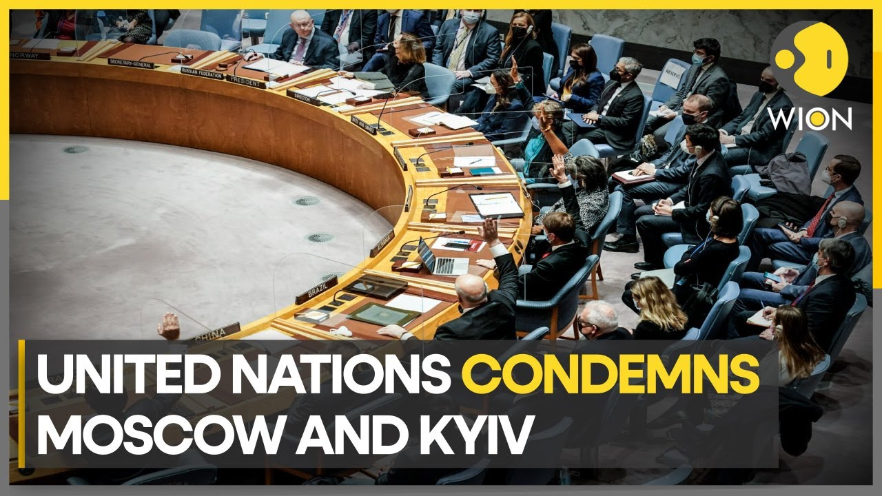 Russia-Ukraine War: United Nations flags 'summary executions' | Latest World News | WION