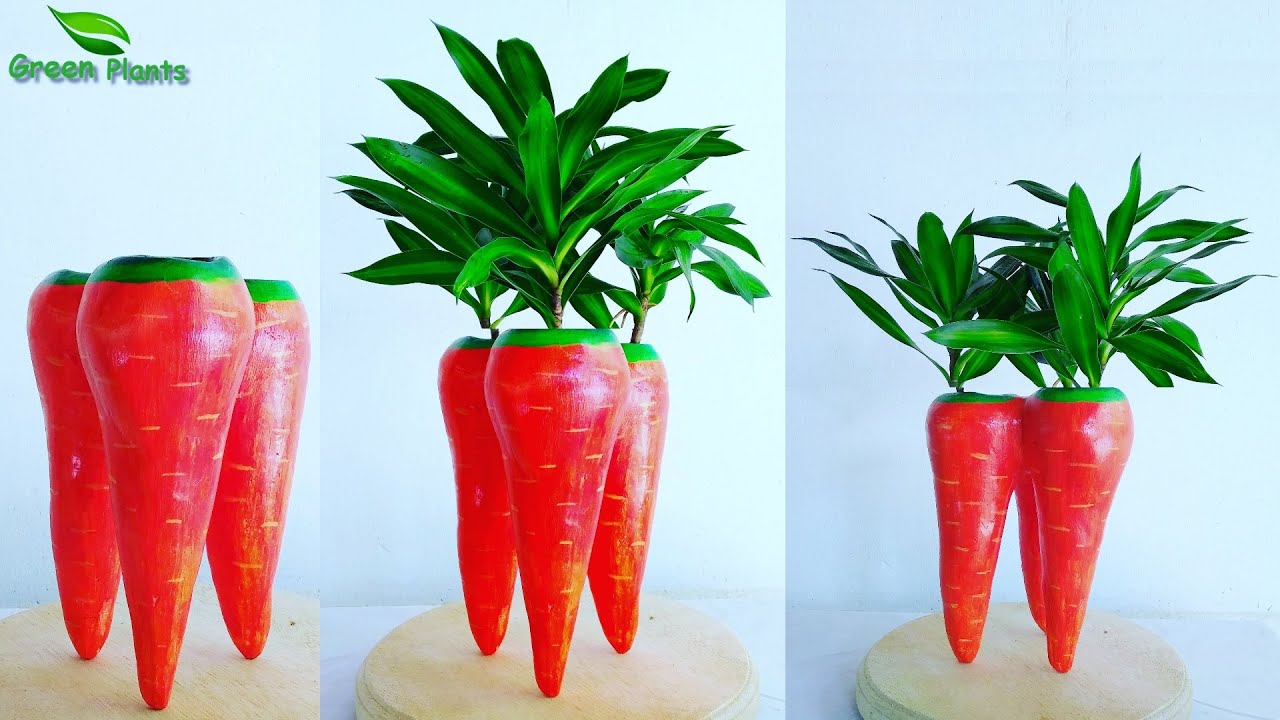 Unique Tree Pot | Creative Flower Pot Making at Home//GREEN PLANTS