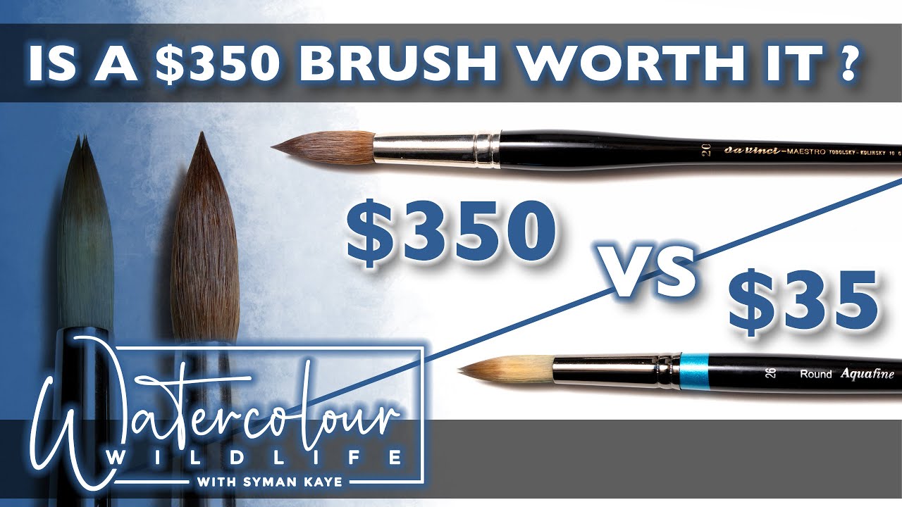 Is it worth it ? $350 Watercolour Brush vs $35 Watercolor Brush