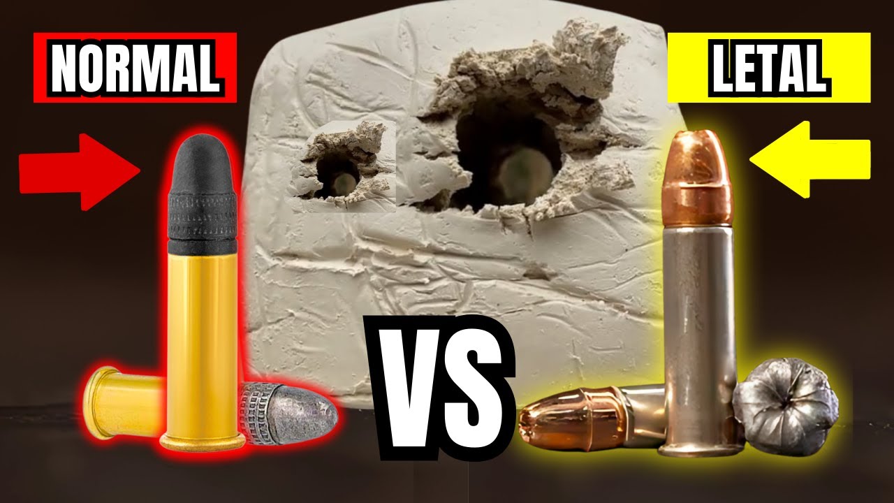 Los 5 mejores Cartuchos  .22 LR para defensa personal