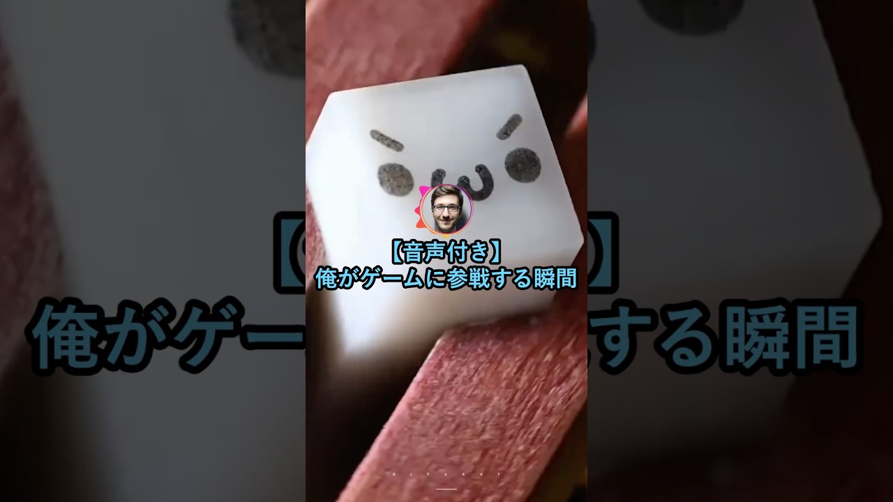 【音声付き】俺がゲームに参戦する瞬間www【2ch面白いスレ】