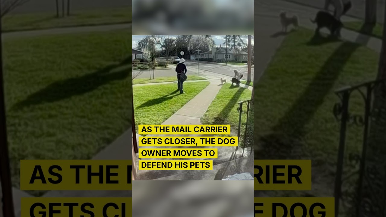 Elderly Man Attacks Mail Carrier?!