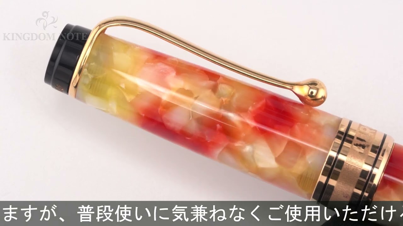 AURORA アウロラ 万年筆 リミテッドエディション カレイドスコーピオ  ルーチェジャーラ F