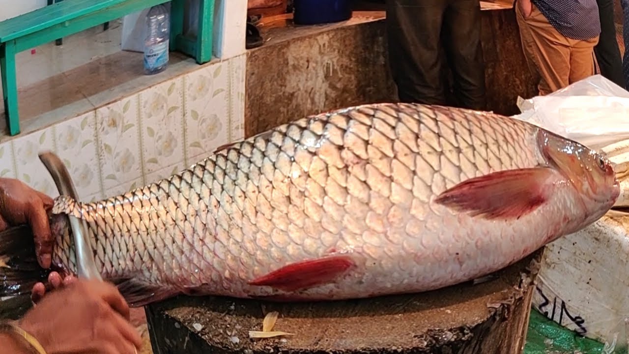 Amazing Mrigal Fish Cutting Video In Fish Market | Fastest Fish Cutting