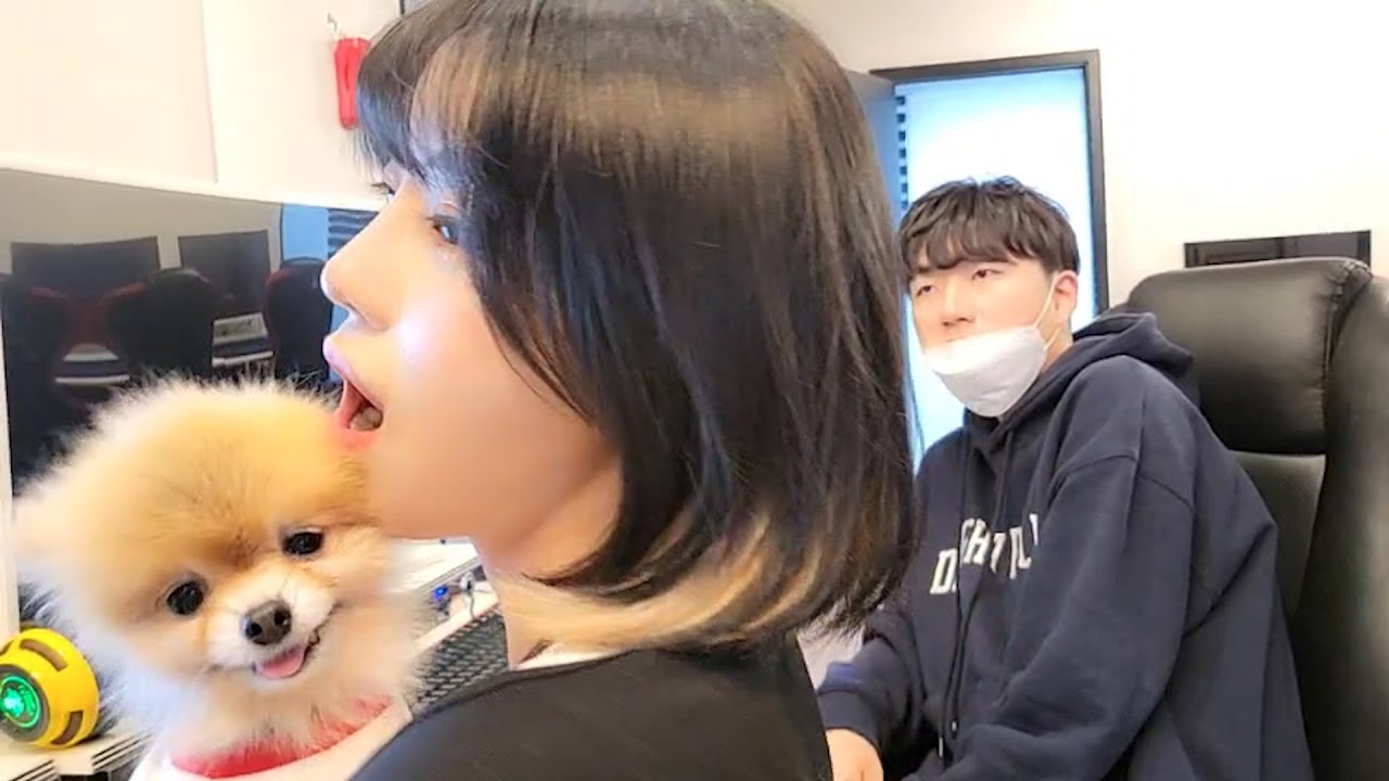 [커플Vlog]일 핑계로 널 만나니 너무 좋다 시즌1 EP.25 -  Couple | カップル