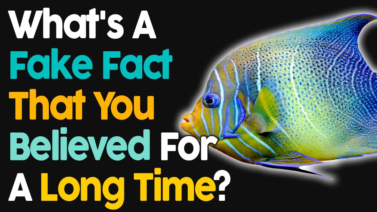 What's a Fake Fact That You Believed For A Long Time?