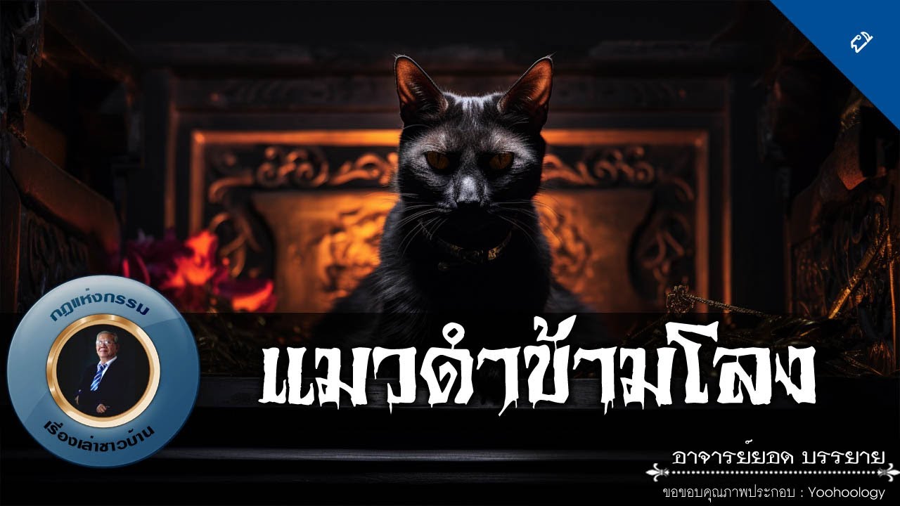 อาจารย์ยอด : แมวดำข้ามโลง [ผี]