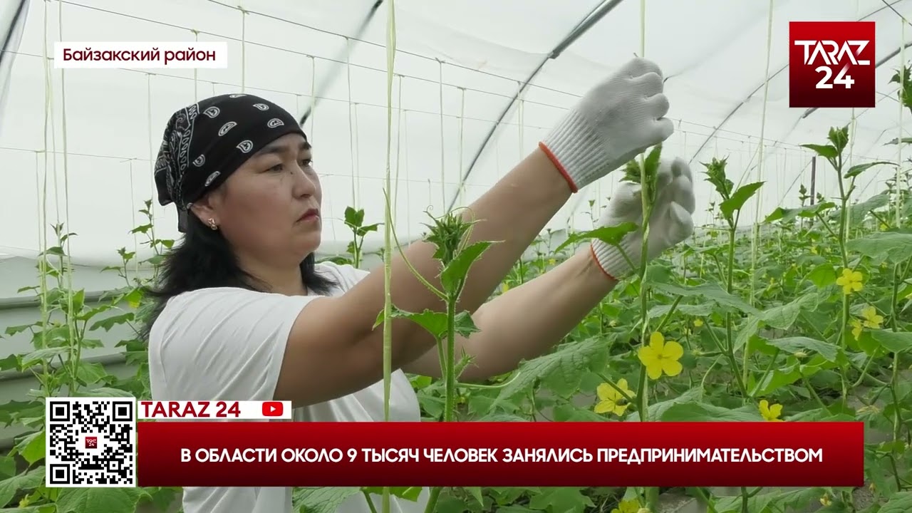 В ОБЛАСТИ ОКОЛО 9 ТЫСЯЧ ЧЕЛОВЕК ЗАНЯЛИСЬ ПРЕДПРИНИМАТЕЛЬСТВОМ