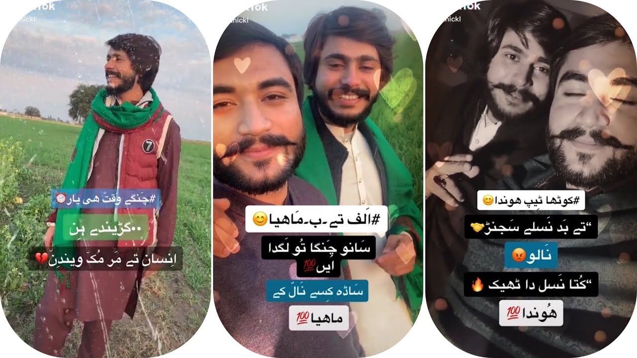Dani tiktok | Dani Chakwal Poetry || Latest Tiktok Danickl poetry videos|@danickl | Danickl official