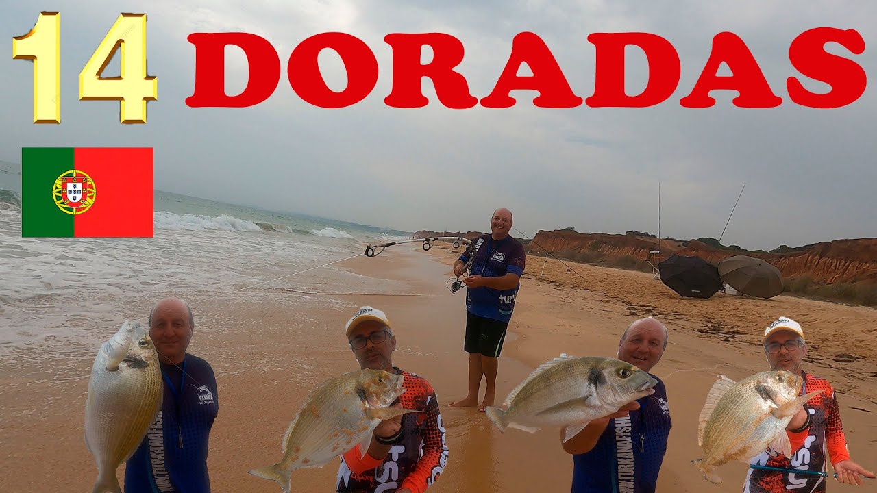 PESCA SURFCASTING JORNADA A TOPE CATORCE DORADAS Y SORPRESA