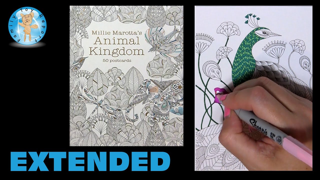 Millie Marotta's Animal Kingdom Postcards Adult Coloring Book Peacock Extended - Family Toy Report