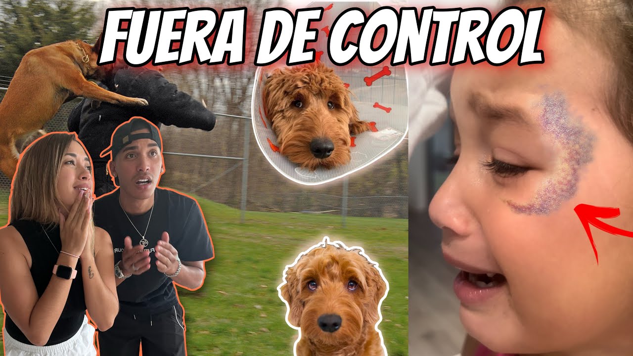 Nuestro Perro Hiere A Nuestra Hija Con Gran Golpe 😭 FUERA DE CONTROL