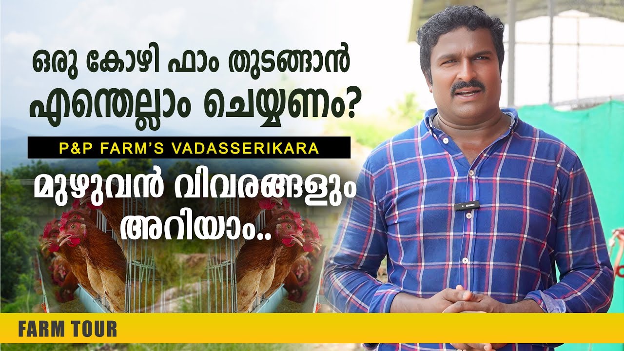 ഒരു കോഴി ഫാം തുടങ്ങാൻ എന്തെല്ലാം ചെയ്യണം? കോഴി വളർത്തൽ ലാഭകരമല്ല എന്ന് പറയുന്നവർ ഇത് കേൾക്കണം..