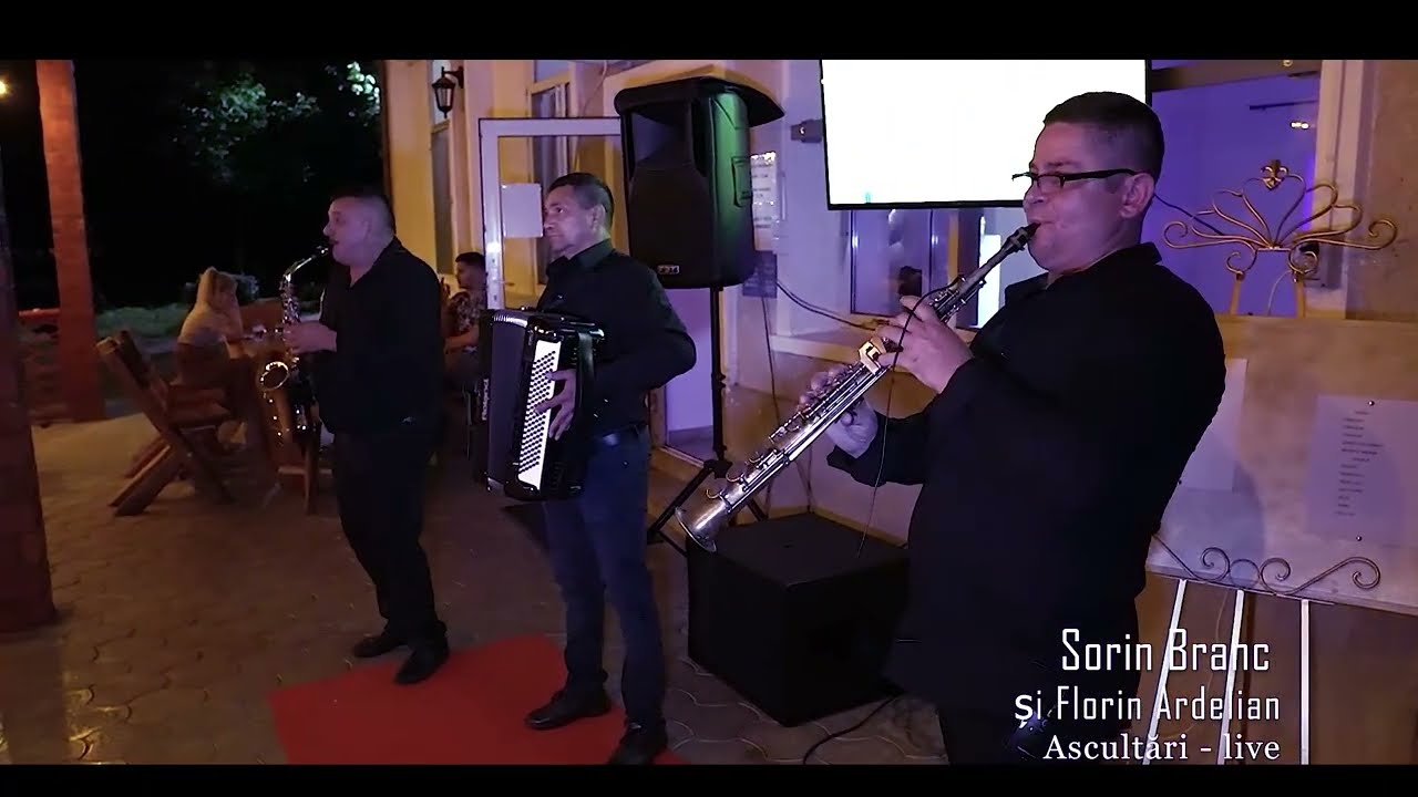 Sorin Branc și Florin Ardelian - Ascultări live