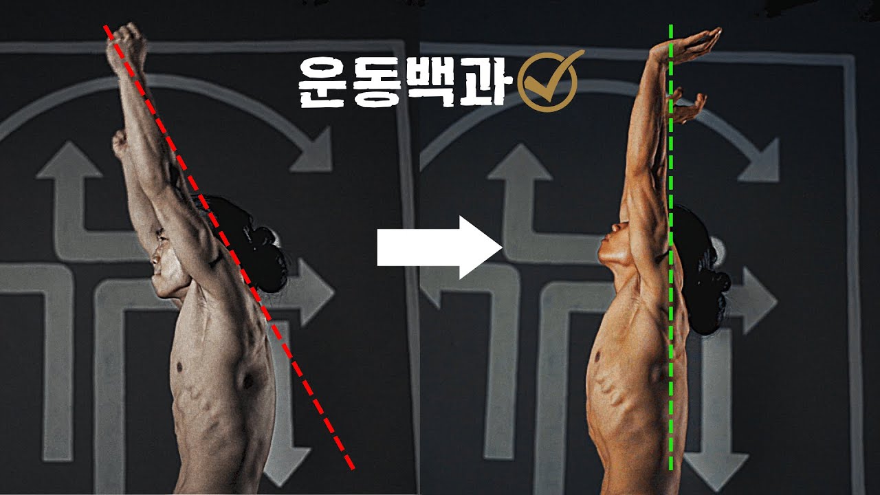 초보자 어깨 안정화 & 신체 정렬 끝판왕 물구나무! | 바른 정렬과 어깨 유연성 훈련 방법 한 방에 정리 | 장인비법서 with 마스터 최
