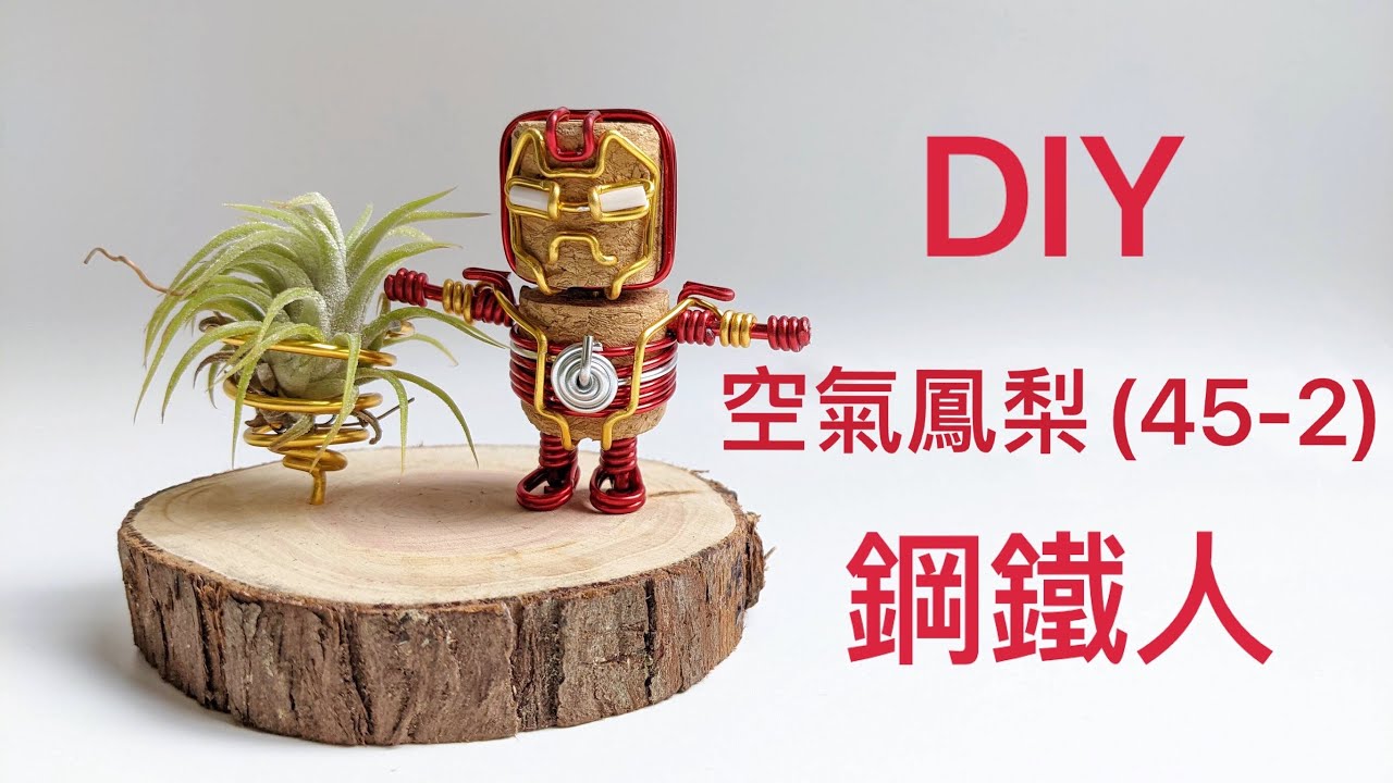 DIY wire 教你如何使用彩色鋁線製作空氣鳳梨  軟木塞 鋼鐵人-2 製作身體How to make Aluminum wire Air plant