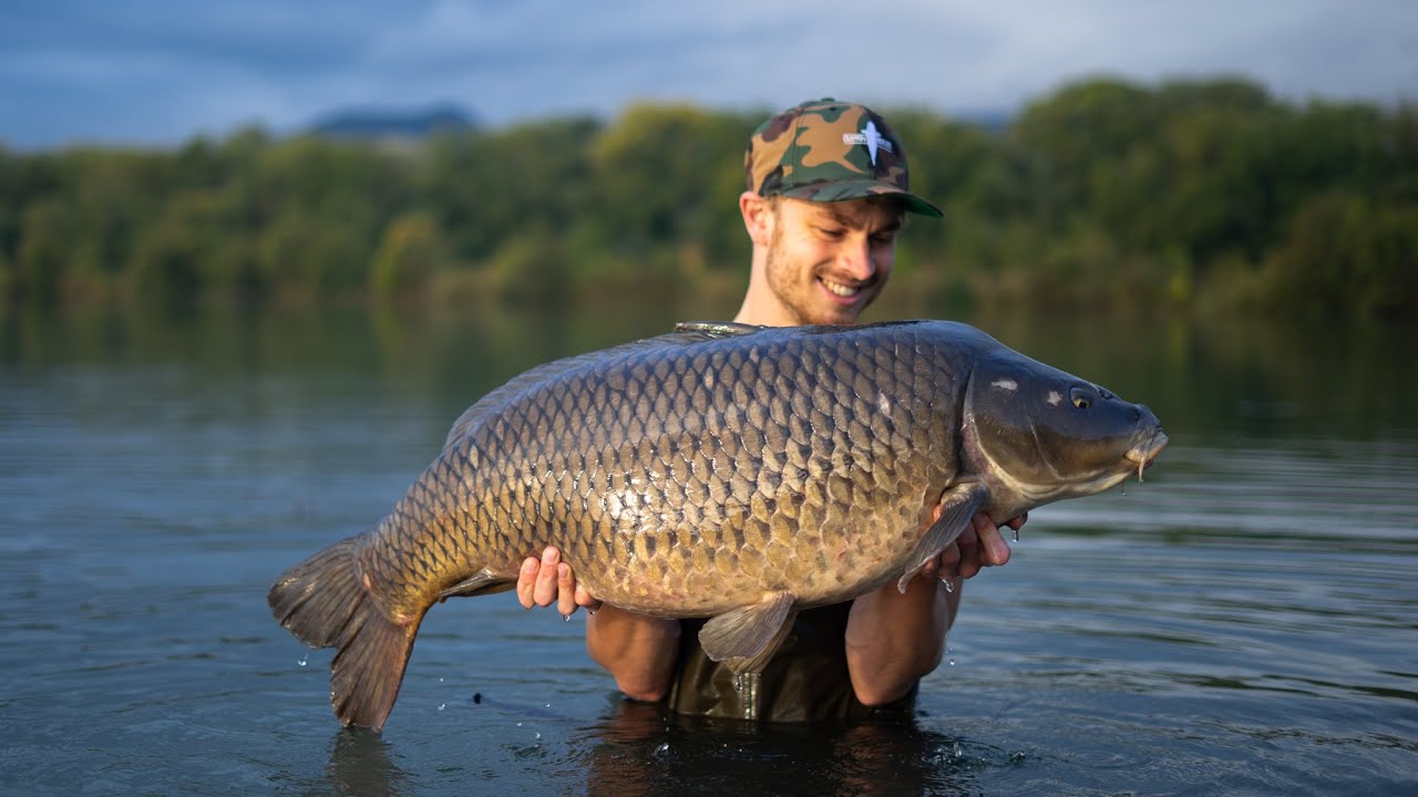 Karpervissen - Strijden op het stromende water - Cuytenboilies X Dutchcarpanglers