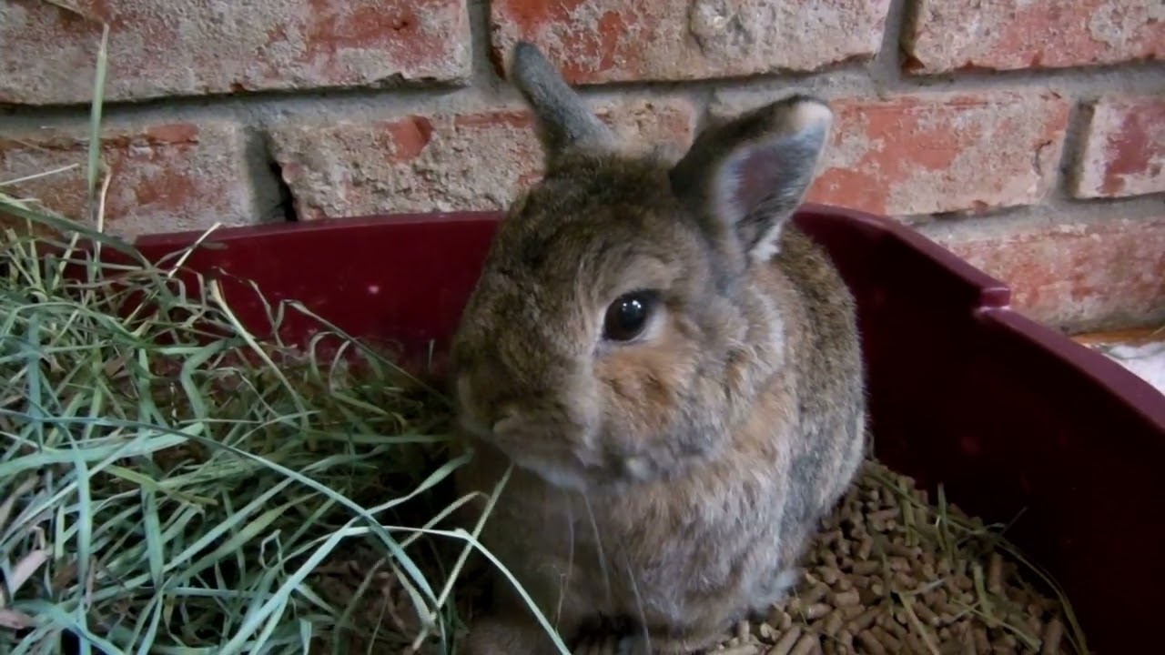 Zora says "Relax and enjoy your Great Zora and Zita Weekend".